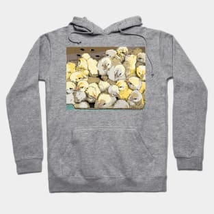 Chicks Hoodie